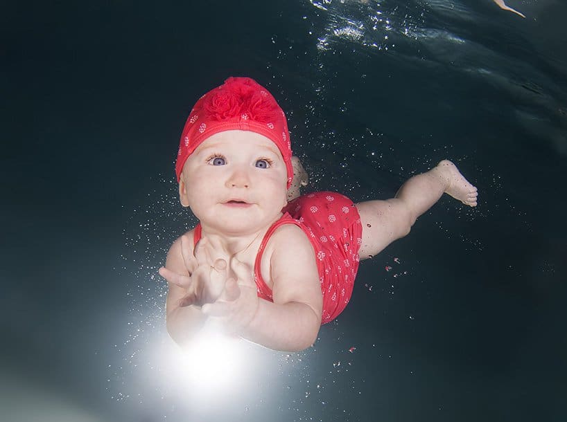 Seth Casteel Photography # Babies Diving 8
