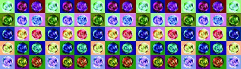 Back - ArtLite RoseWood #3 edition 1 of 8 - Blured Petals - 42.2x12.2 cm CMYK Print