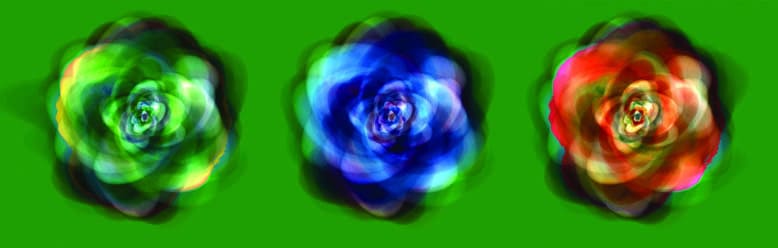 Front - ArtLite RoseWood #3 edition 1 of 8 - Blured Petals - 44x14cm - CMYK Print