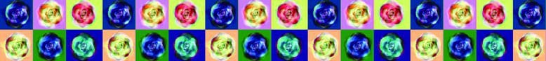 TOP - ArtLite RoseWood #3 edition 1 of 8 - Blured Petals - 44.1X5CM - RCB SCREEN Print