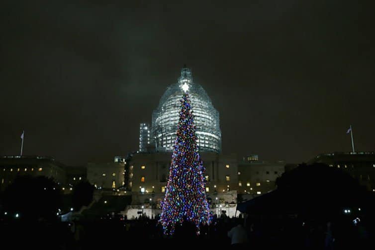 Creative Christmas Tree 2015 - Washington DC - USA