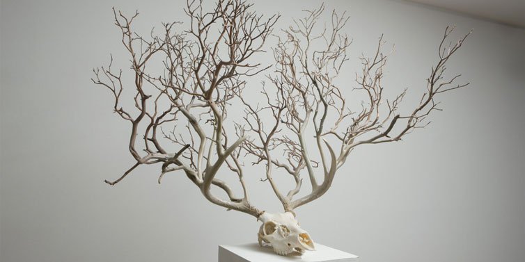 Myeongbeom Kim - Surreal - Sculptures - Installations 12 - feat