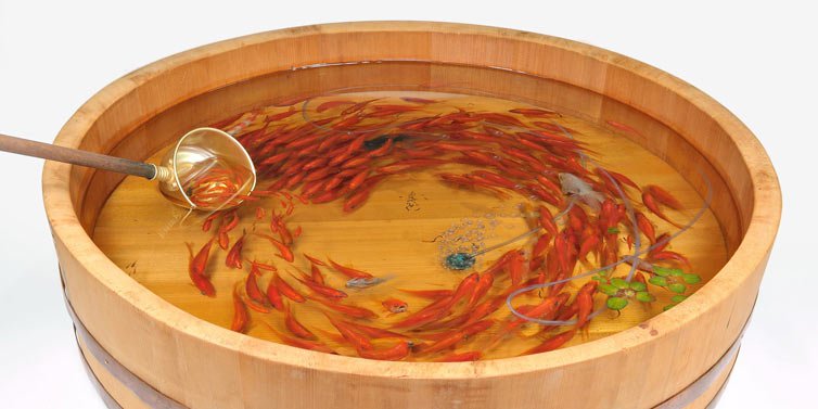 Riusuke Fukahori - Hyper-realistic - Goldfish Sculptures 07 - feat