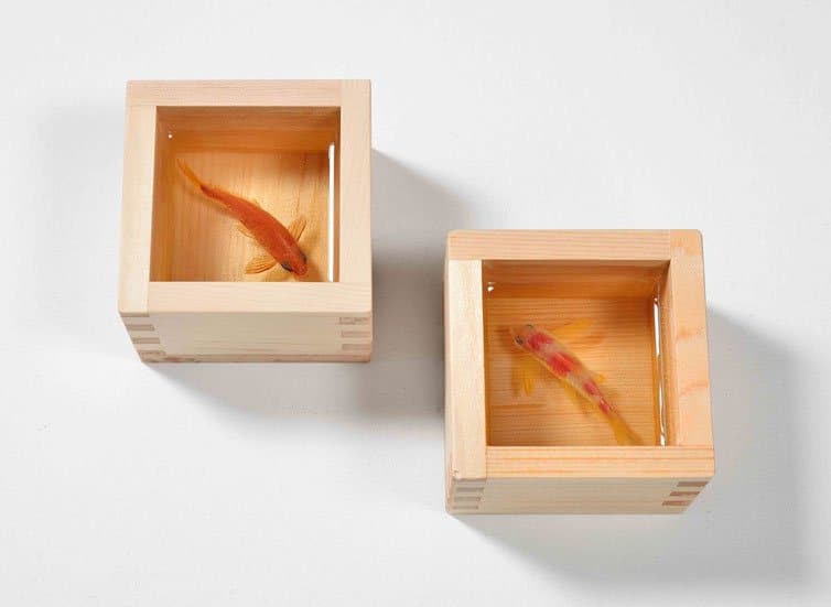 Riusuke Fukahori - Hyper-realistic - Goldfish Sculptures 08