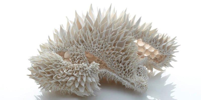 Nuala O Donovan - Sculptural Ceramics 03