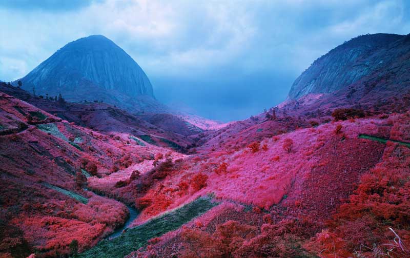 Richard Mosse - Psychedelic Battlefronts 01