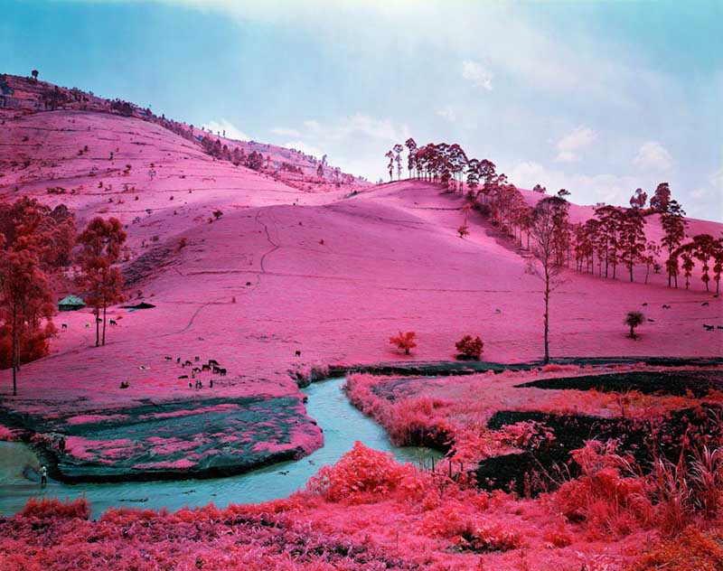 Richard Mosse - Psychedelic Battlefronts 05