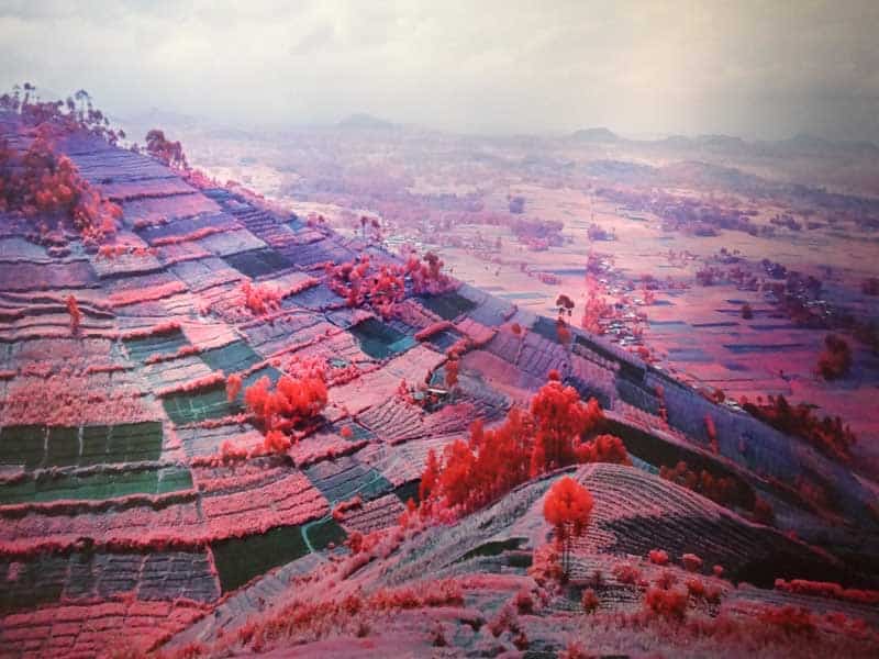 Richard Mosse - Psychedelic Battlefronts 06