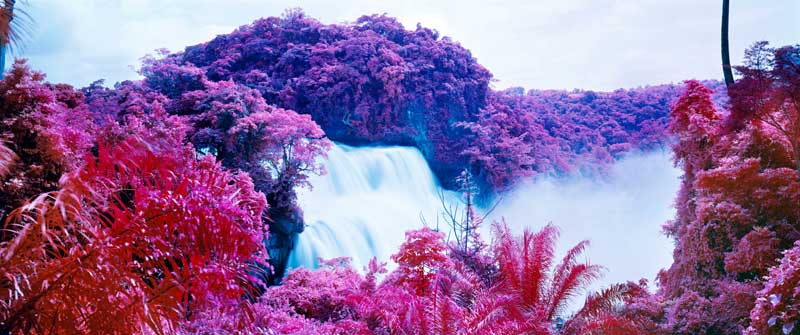 Richard Mosse - Psychedelic Battlefronts 07