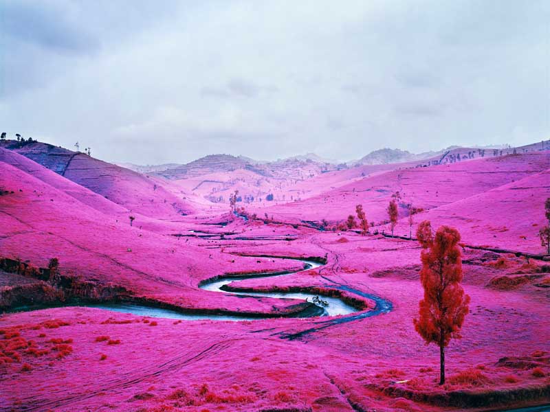 Richard Mosse - Psychedelic Battlefronts 11