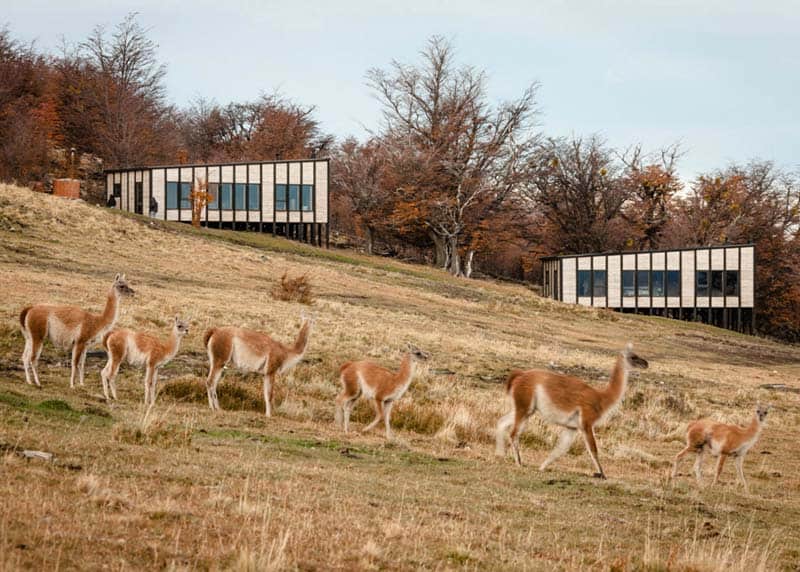 Patagonia Minimalist Chalets - Felipe Assadi - Architects 06