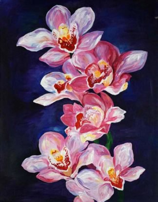 Tida - Orchids - 35 x 45 - 10 - edit2