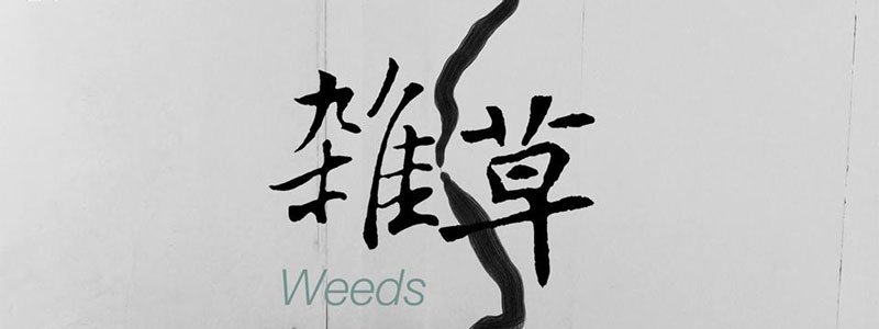 chongqing-dimensions-art-centre-weeds