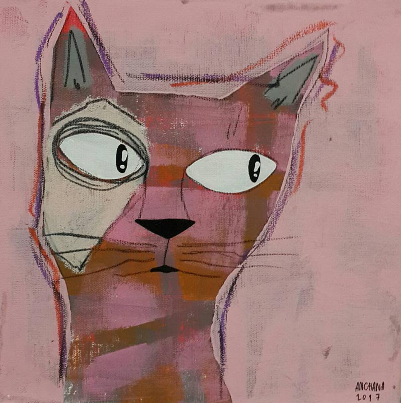 Ja - brown and white cat on Pink - 25 x 25 - 09