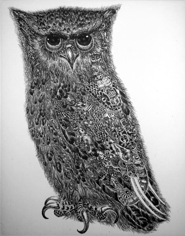 Wittaya - An Owl - 19 x 25 - 3-5