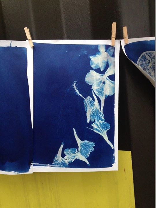 Deck - Cyanotype: The Art of Sun Printing (The oldest forms)