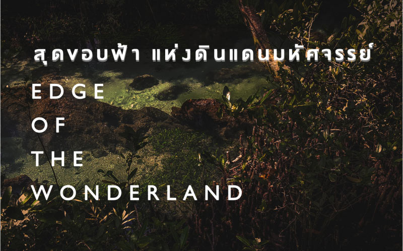 Krabi - Thailand Biennal 2018 Krabi - Edge of the Wonderland