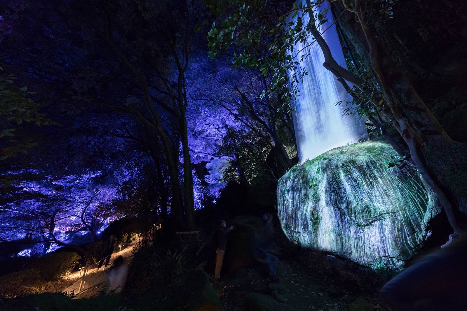 Teamlab - mifuneyama rakuen - Where gods live