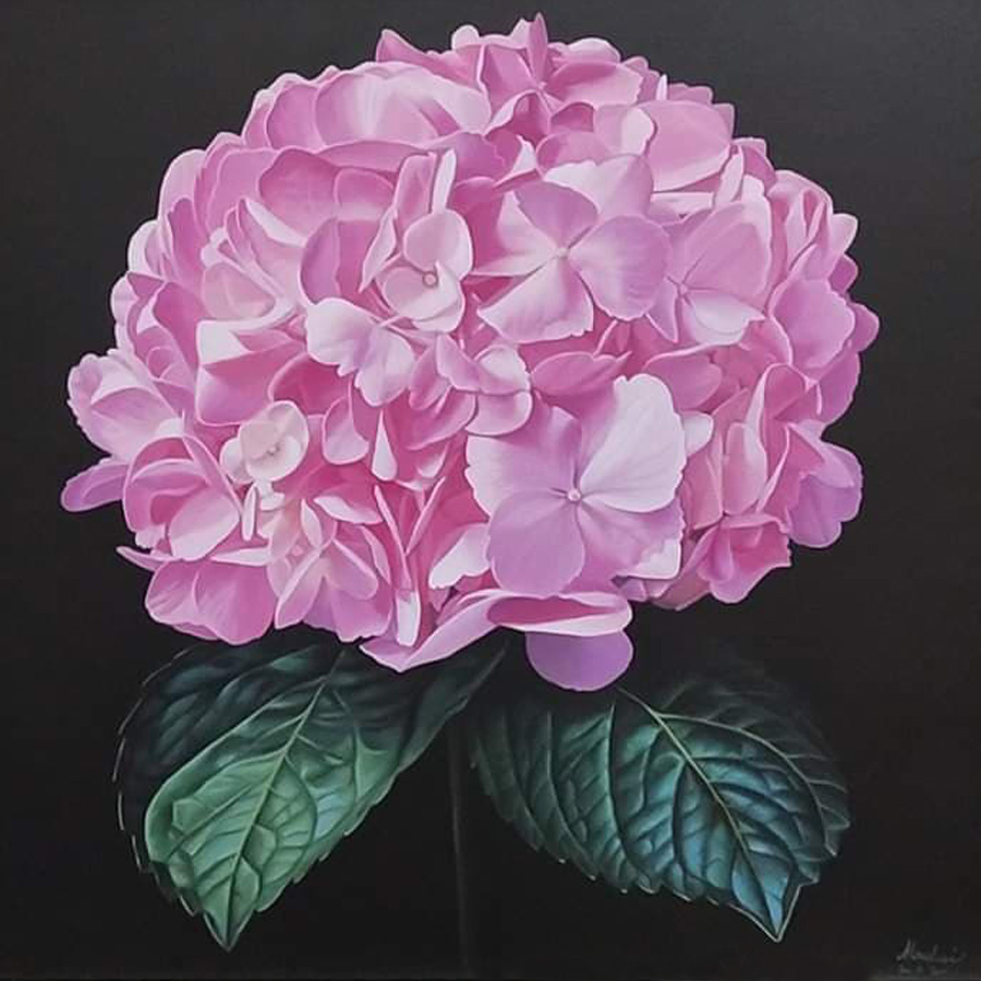Thai art for sale - Monchai- Pink Hydrangea - 50x50- 7